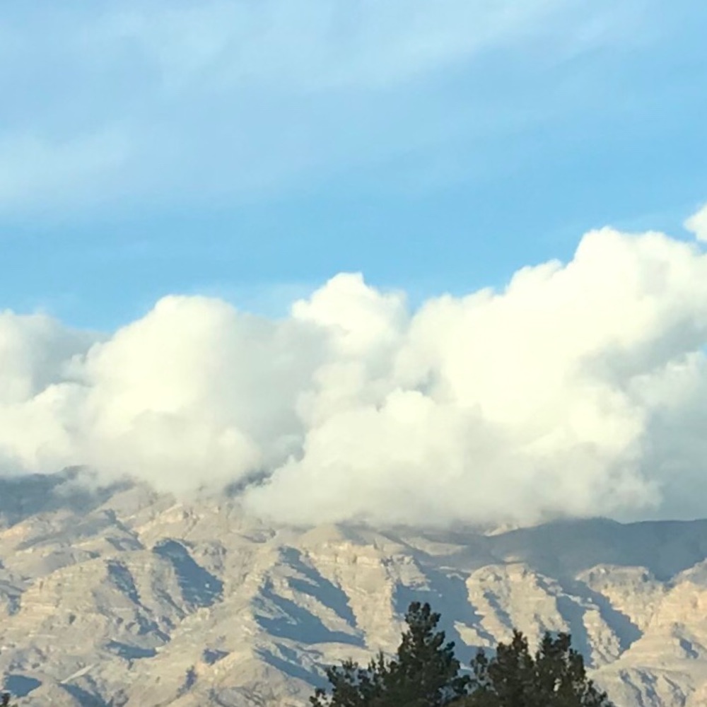 Meet your Posher, Suzanne